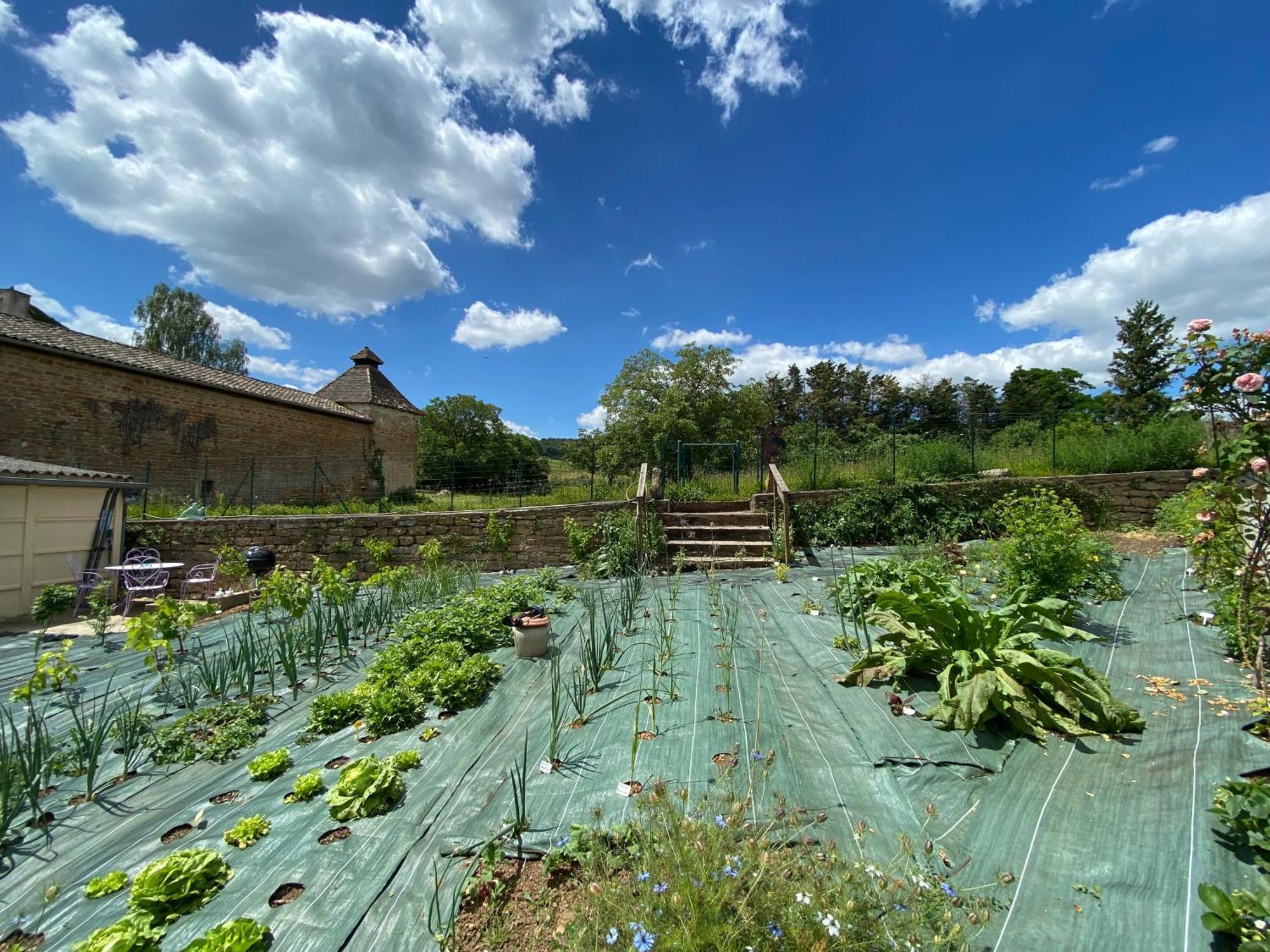 Au Lavoir Vinzelles Zewnętrze zdjęcie